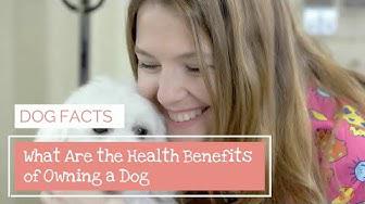 'Video thumbnail for What Are the Health Benefits of Owning a Dog'