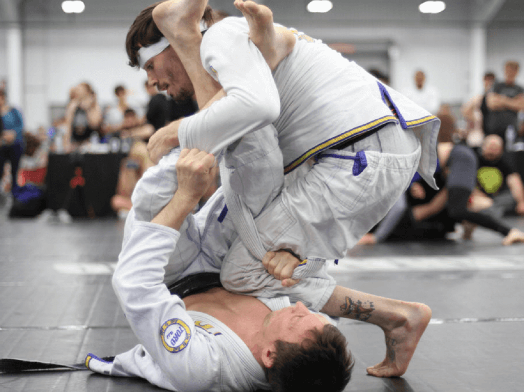 jiu-jitsu positions