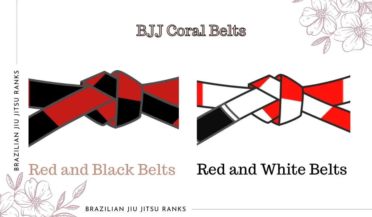 BJJ Coral Belts
