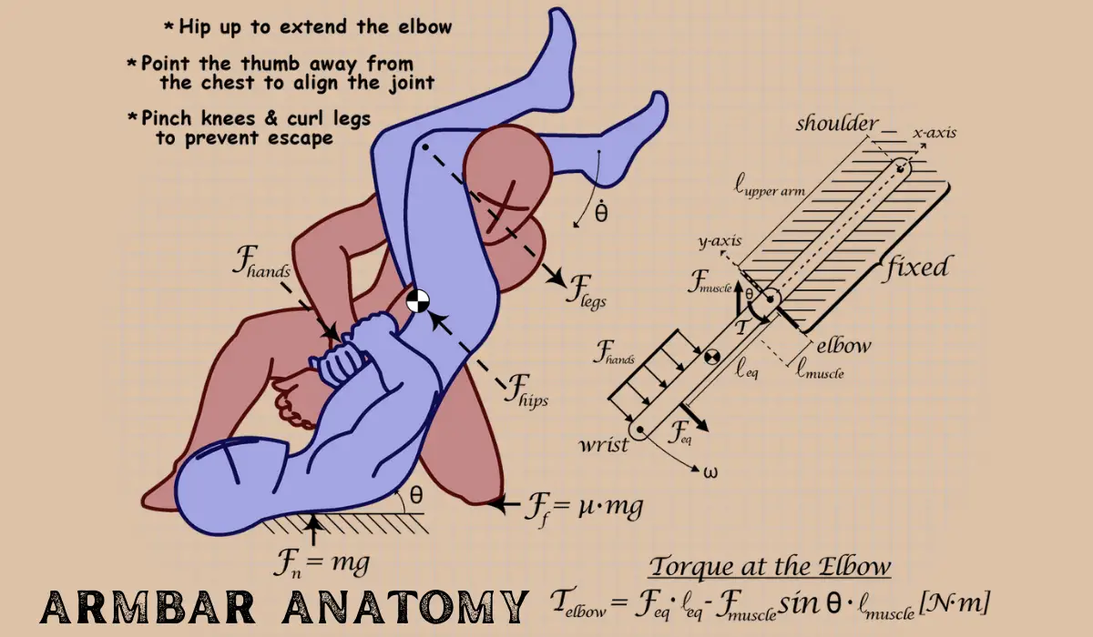 armbar anatomy