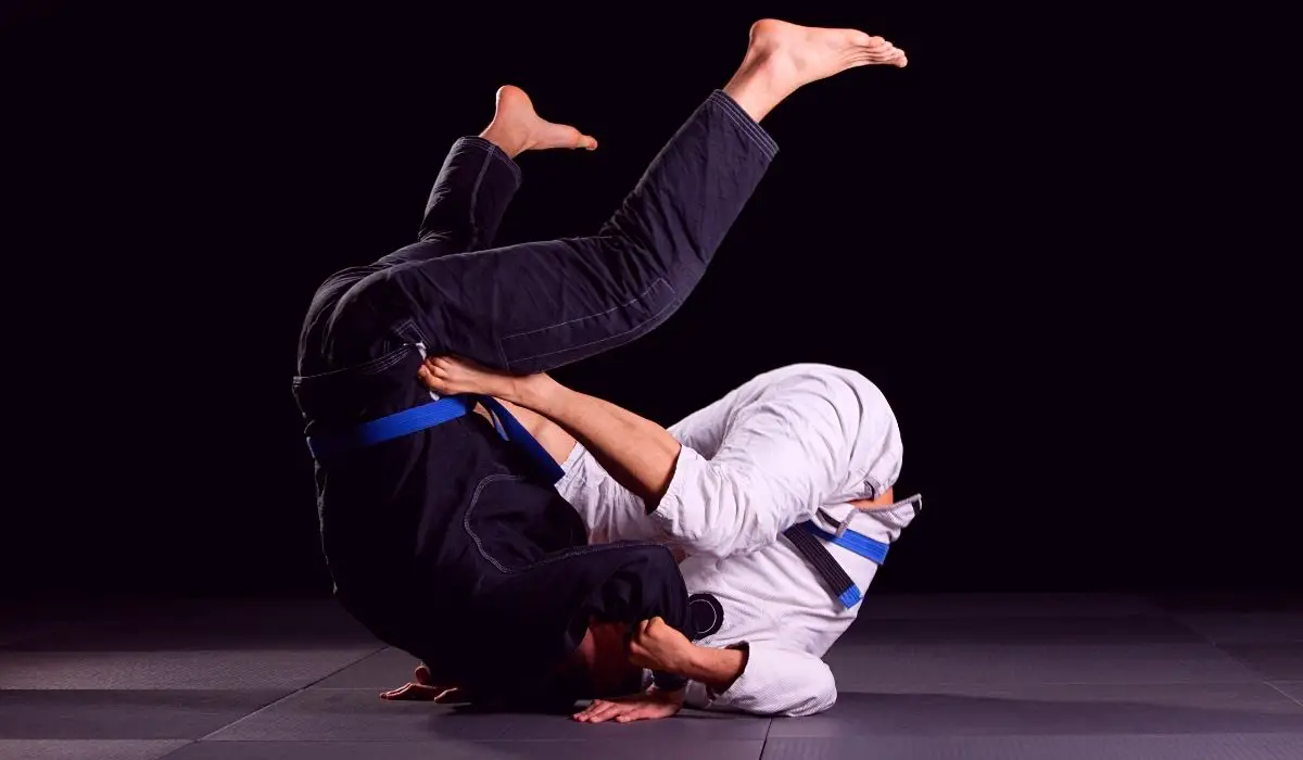 basic jiu jitsu moves