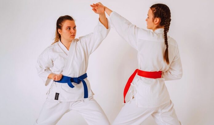 difference between jiu jitsu and karate