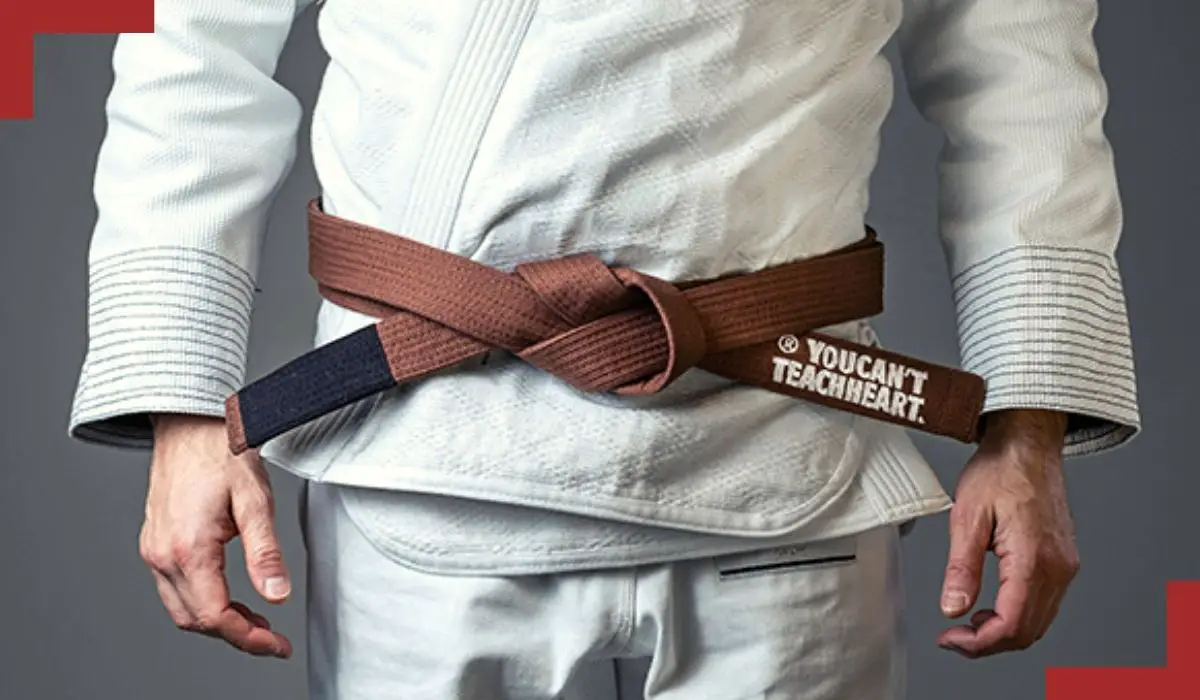what rank is brown belt in jiu jitsu