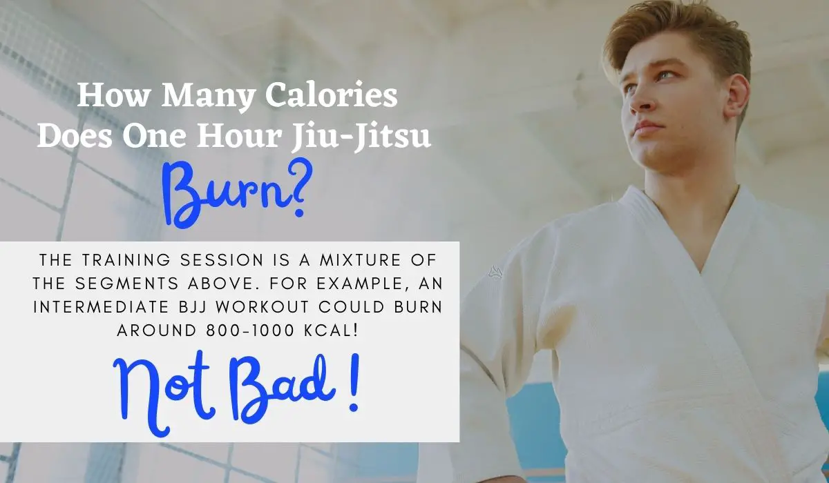 calories burned in jiu jitsu