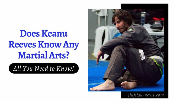 keanu reeves martial arts