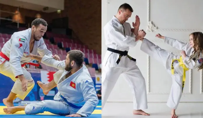brazilian jiu jitsu vs jujitsu fighting styles
