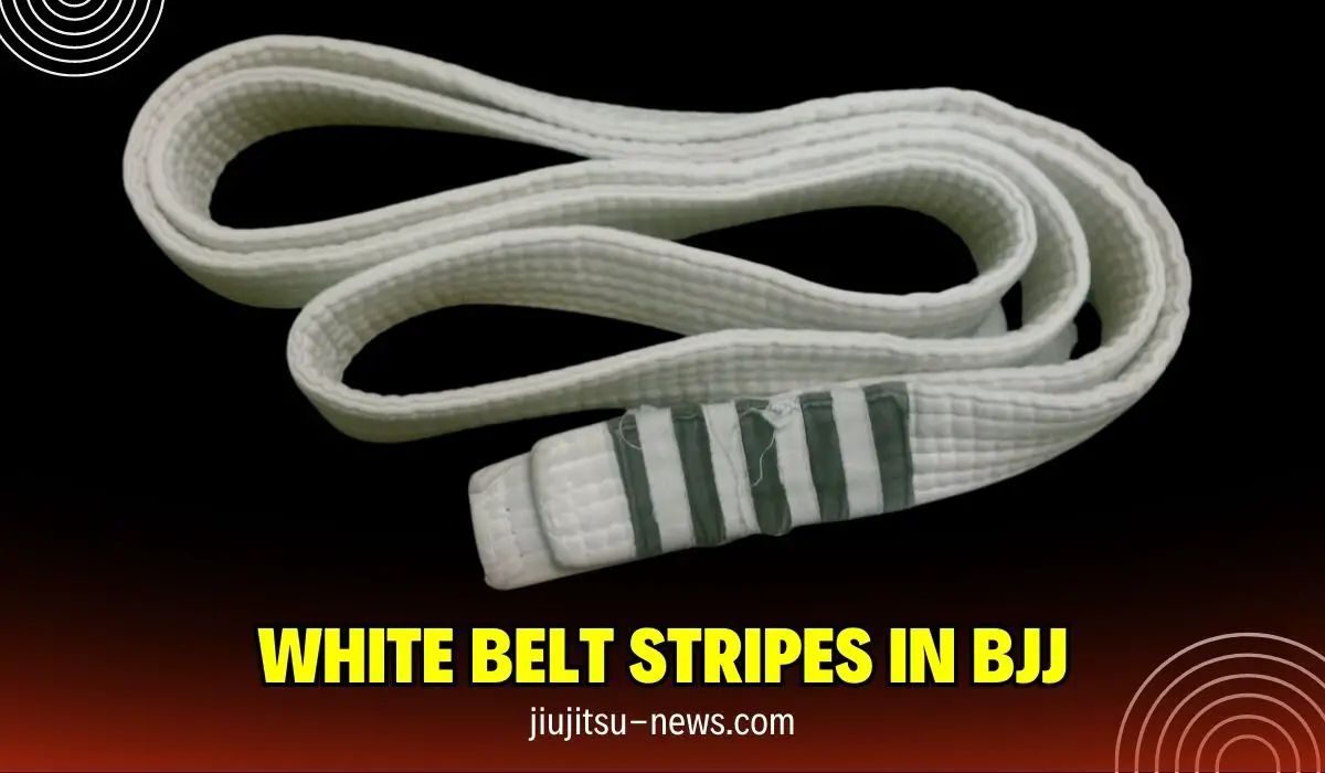 A Complete Breakdown of the White Belt Stripes in BJJ - Jiujitsu News