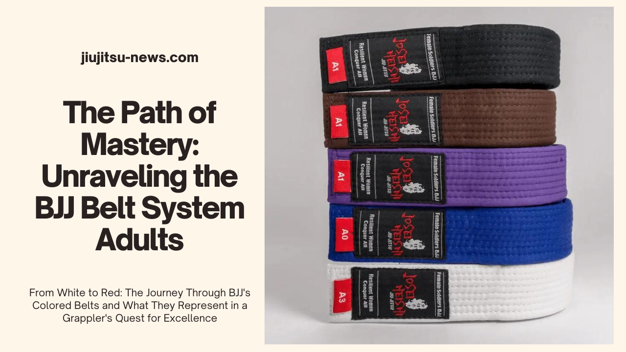 Unraveling the BJJ Belt System Adults! Jiujitsu News