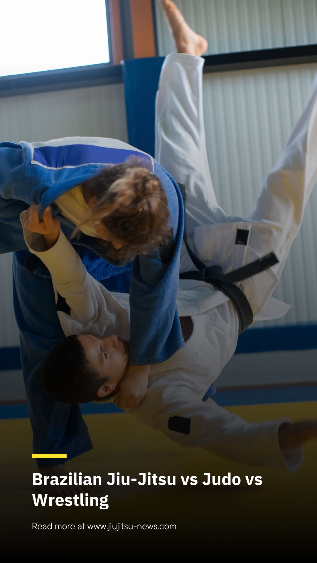 Comparing Brazilian Jiu Jitsu Judo and Wrestling 20241101 111755 0000