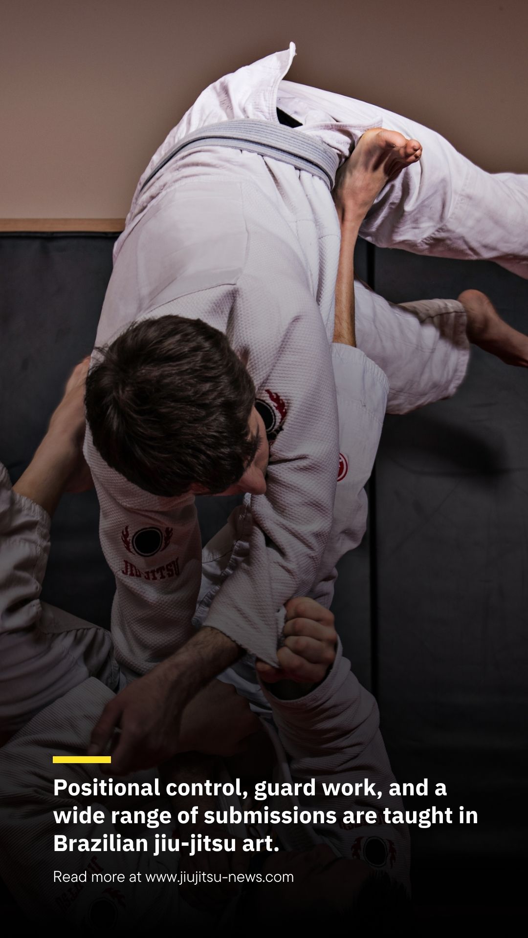 Brazilian JiuJitsu vs Judo vs Wrestling Jiujitsu News