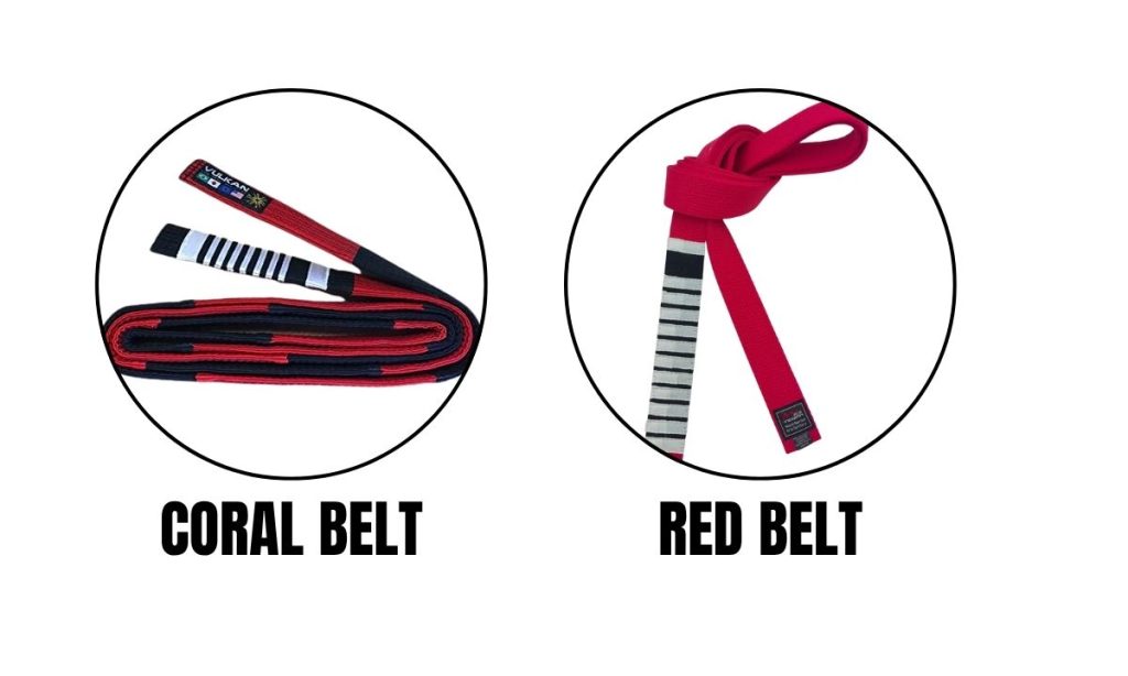 Coral_ Red Belt Coral Red Belt