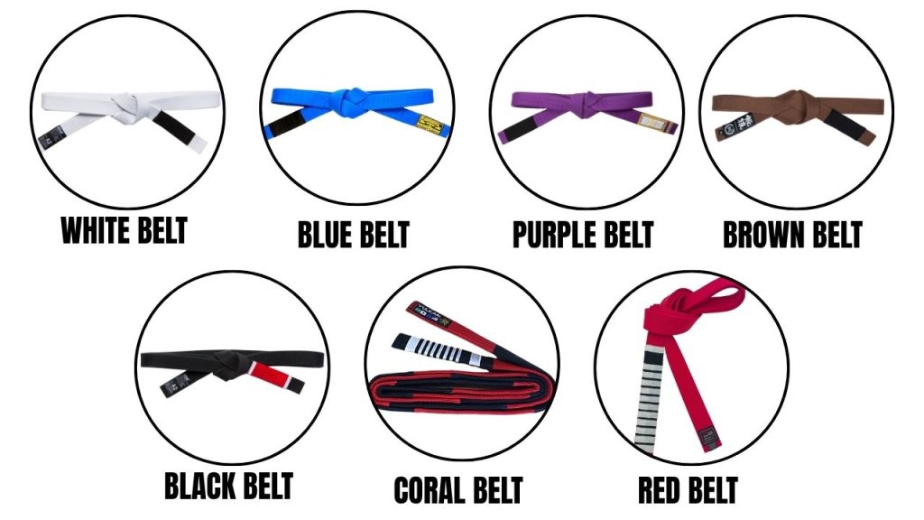 Every Brazilian Jiu Jitsu Belt Explained!